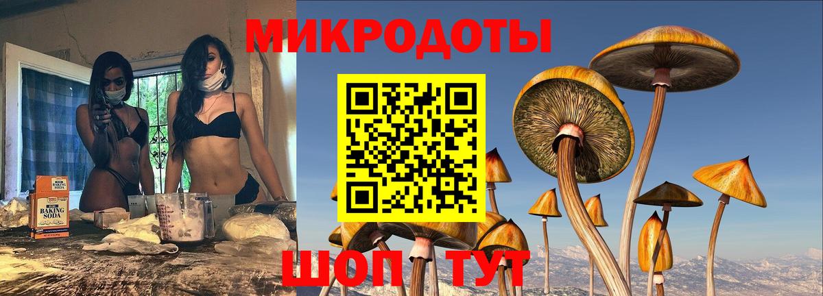 Казань  Псилоцибиновые грибы GOLDEN TEACHER  Вход с VPN  Псилоцибиновые грибы Psilocybine cubensis 